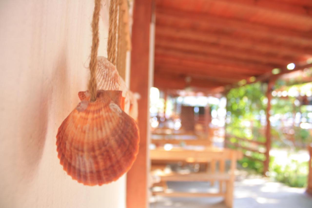 Alba Family Club Hotel Primorsko Ngoại thất bức ảnh