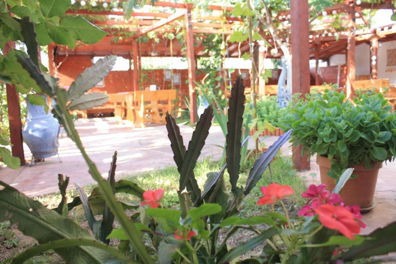 Alba Family Club Hotel Primorsko Ngoại thất bức ảnh