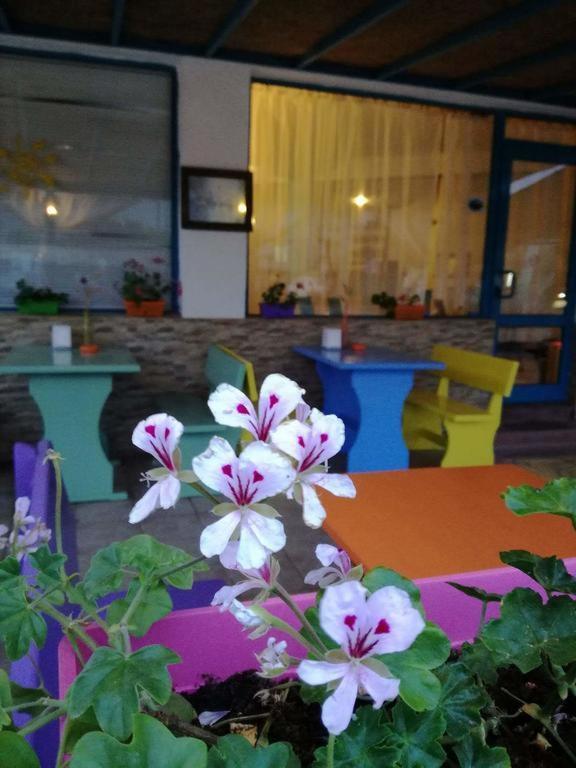 Alba Family Club Hotel Primorsko Ngoại thất bức ảnh